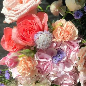 Meet your Posher, Amara